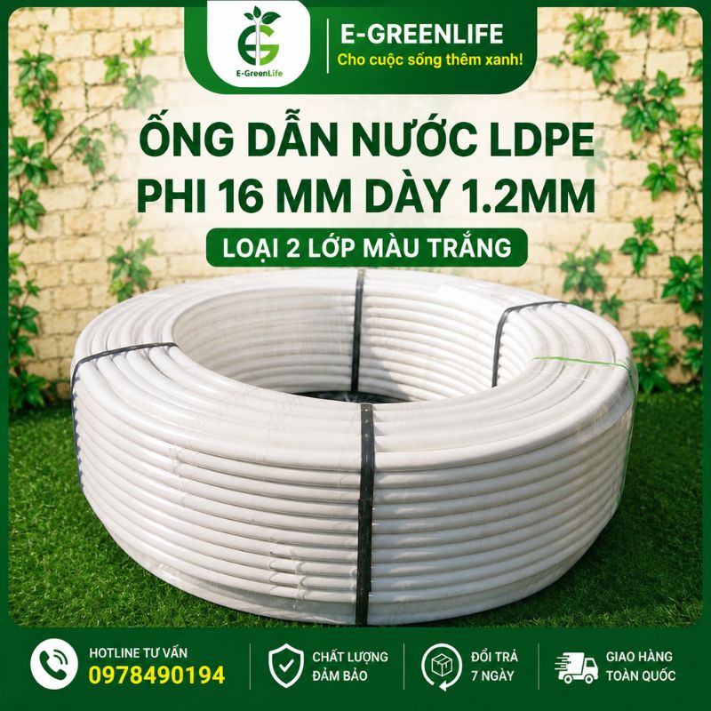Địa chỉ mua Ống dẫn nước LDPE phi 16 mm dày 1.2mm loại 2 lớp màu trắng