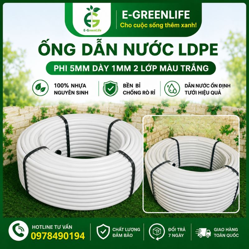 Địa chỉ mua Ống dẫn nước LDPE phi 20 mm dày 1.2mm loại 2 lớp màu trắng