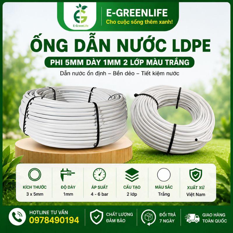 Địa chỉ mua Địa chỉ mua Ống dẫn nước LDPE phi 5mm dày 1mm 2 lớp màu trắng