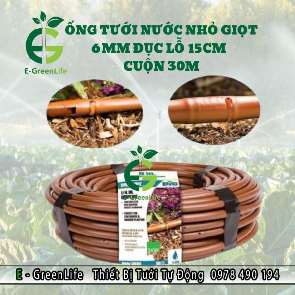 Hình ảnh ống tưới nhỏ giọt 6mm cuộn 30m