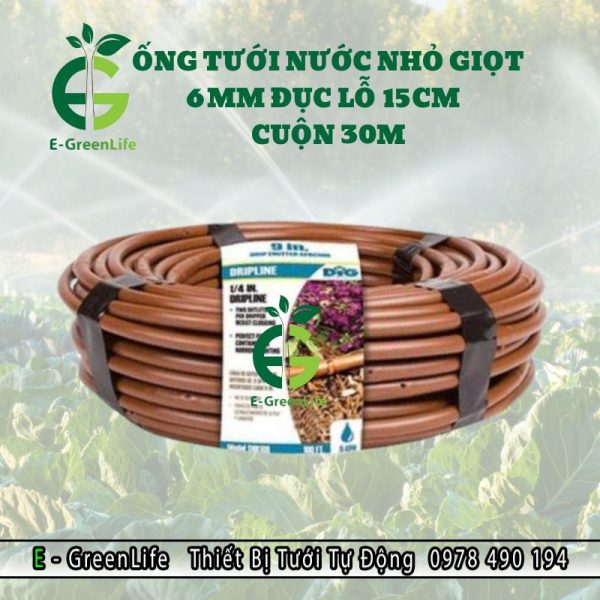 Hình ảnh ống tưới nhỏ giọt 6mm đục lỗ 15cm cuộn 30m
