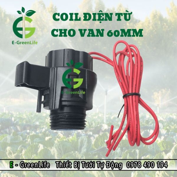 Hình ảnh coil điện từ cho van 60mm