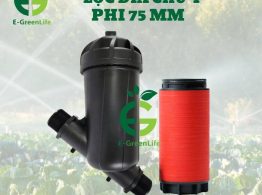 Hình ảnh lọc đĩa chữ Y phi 75mm