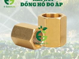 Hình ảnh ren nối đồng hồ đo áp E-GreenLife