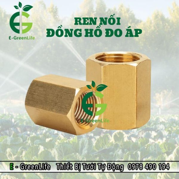Hình ảnh ren nối đồng hồ đo áp E-GreenLife