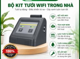 Bộ Kit tưới Wifi trong nhà