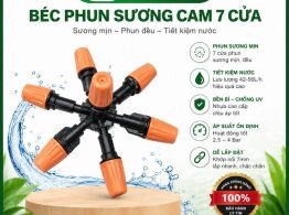 Béc phun sương cam 7 cửa