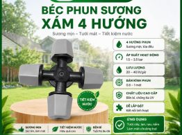 Béc phun sương xám 4 hướng