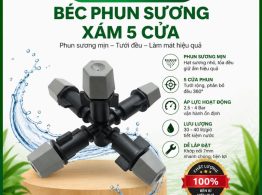 Béc phun sương xám 5 cửa