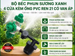 Bộ béc phun sương xanh 4 cửa kèm ống PVC ren 21 có van áp