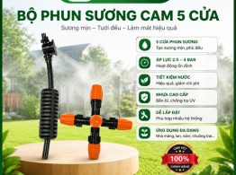Bộ phun sương cam 5 cửa