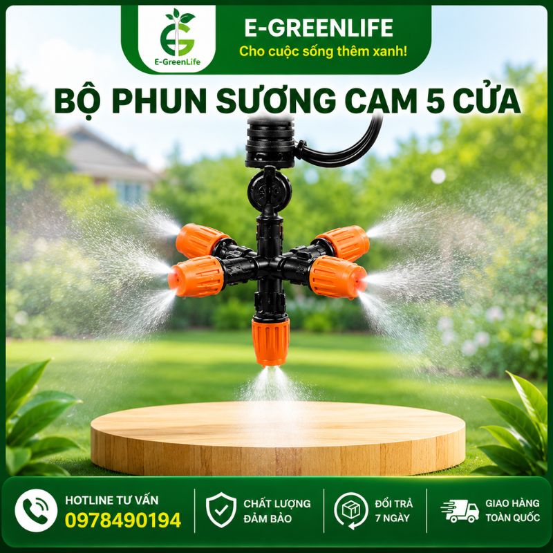 dia-chi-ban-bo-phun-suong-cam-5-cua Địa chỉ bán Bộ phun sương cam 5 cửa