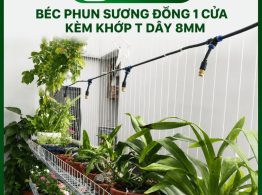 Hình ảnh địa chỉ mua Béc phun sương đồng 1 cửa kèm khớp T dây 8mm