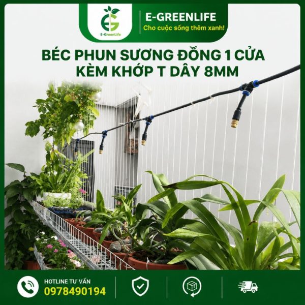 Hình ảnh địa chỉ mua Béc phun sương đồng 1 cửa kèm khớp T dây 8mm