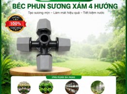 Hình ảnh địa chỉ mua Béc phun sương xám 4 hướng