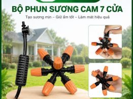 Địa chỉ mua Bộ phun sương cam 7 cửa