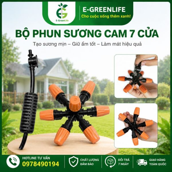 Địa chỉ mua Bộ phun sương cam 7 cửa