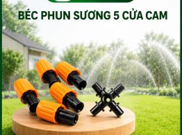 Mua Béc phun sương cam 5 cửa