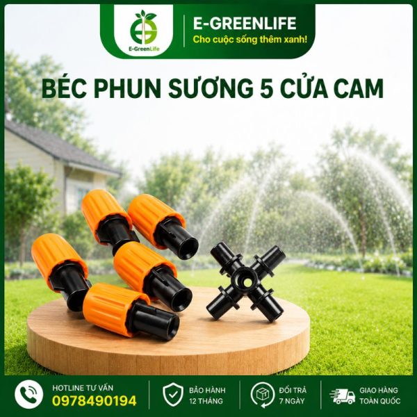 Mua Béc phun sương cam 5 cửa