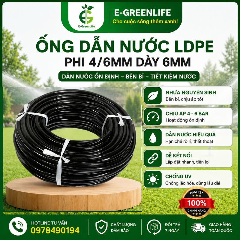 E-GreenLife-ong-dan-nuoc-ldpe-phi-4-6mm-day-6mm Ống dẫn nước LDPE phi 4/6mm dày 6mm