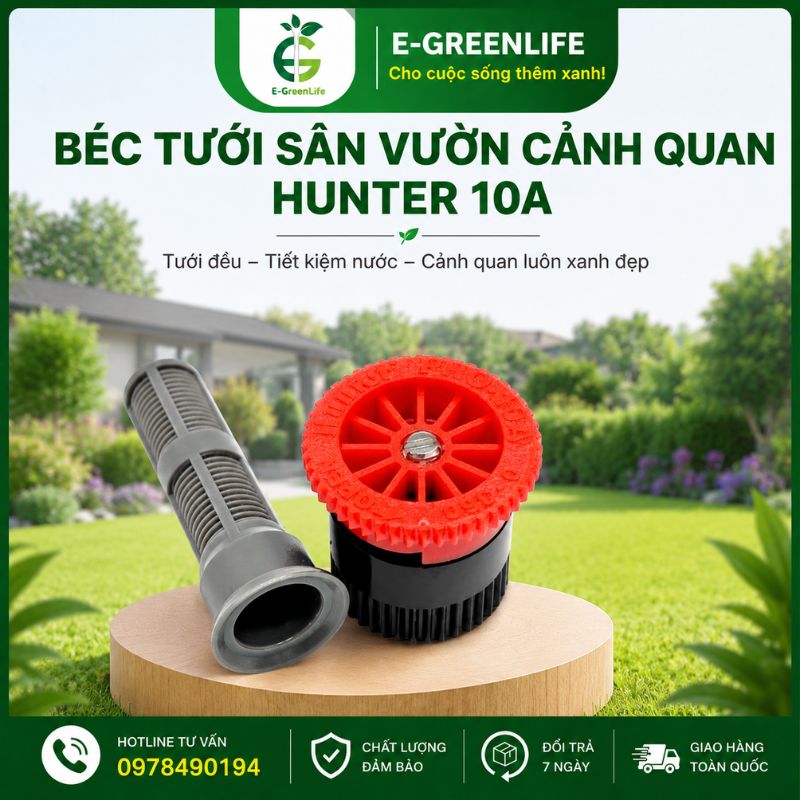 ban-bec-tuoi-san-vuon-canh-quan-hunter-10a-o-dau-uy-tin Bán Béc tưới sân vườn cảnh quan Hunter 10A ở đâu uy tín