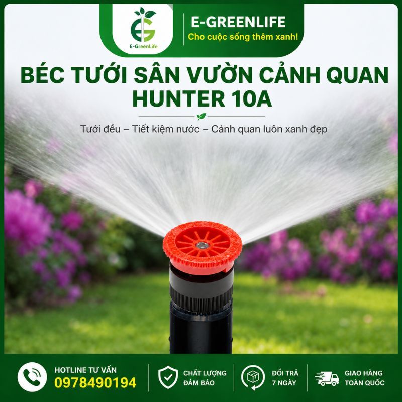 dia-chi-ban-bec-tuoi-san-vuon-canh-quan-hunter-10a Địa chỉ bán Béc tưới sân vườn cảnh quan Hunter 10A