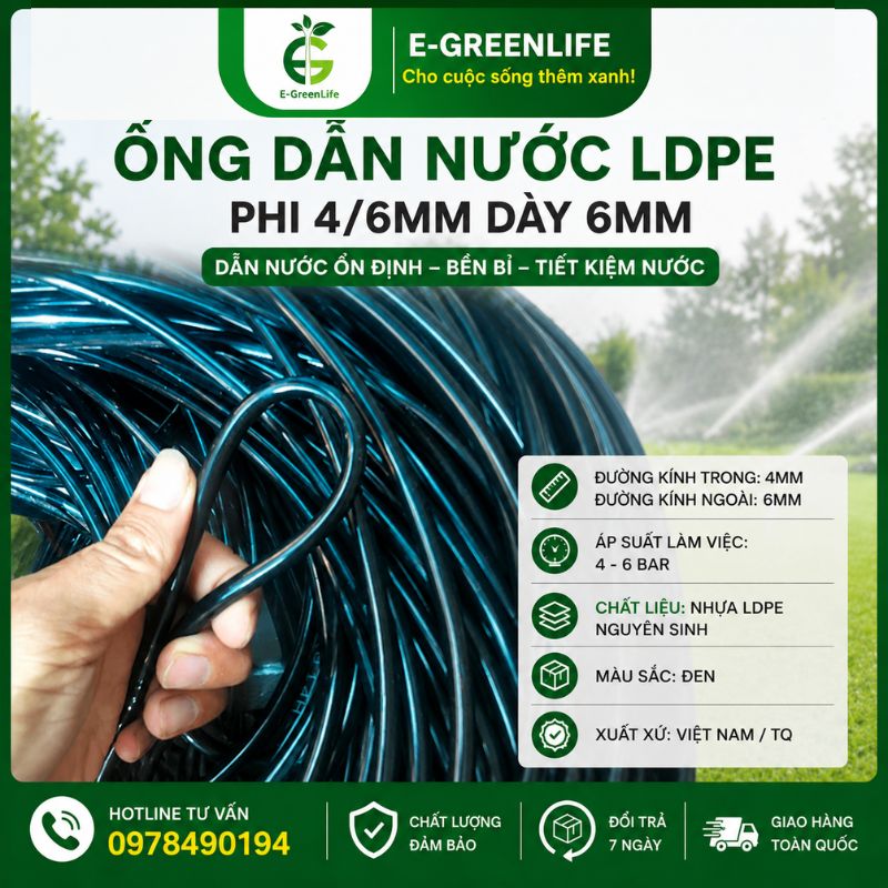 mua-ong-dan-nuoc-ldpe-phi-4-6mm-day-6mm-o-dau-uy-tin Mua ống dẫn nước LDPE phi 4/6mm dày 6mm ở đâu uy tín