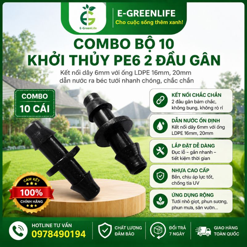 combo-bo-10-khoi-thuy-pe6-2-dau-gan Combo bộ 10 khởi thủy PE6 2 đầu gân