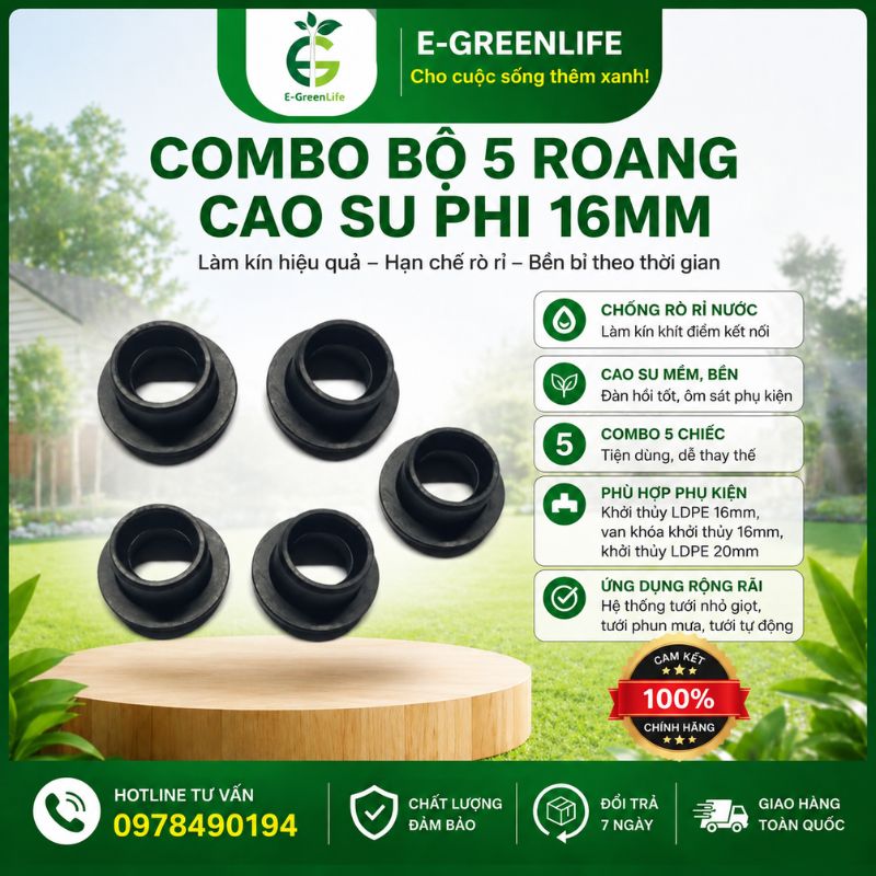 combo-bo-5-roang-cao-su-phi-16mm Combo bộ 5 roang cao su phi 16mm