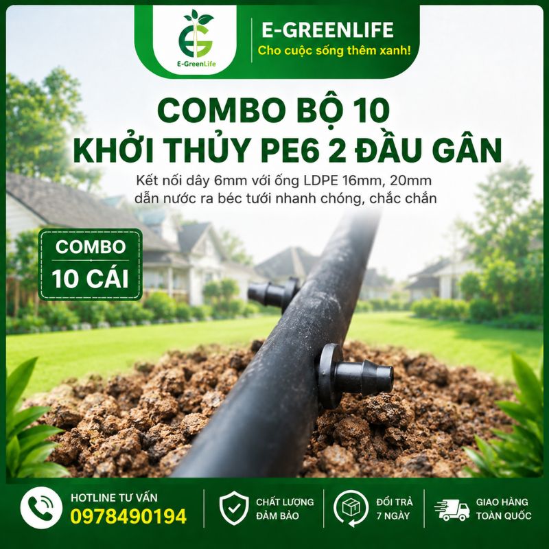 dia-chi-ban-combo-bo-10-khoi-thuy-pe6-2-dau-gan Địa chỉ bán Combo bộ 10 khởi thủy PE6 2 đầu gân