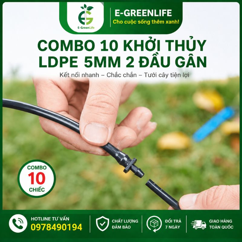 dia-chi-mua-combo-10-khoi-thuy-ldpe-5mm-2-dau-gan Địa chỉ mua Combo 10 Khởi thủy LDPE 5mm 2 đầu gân