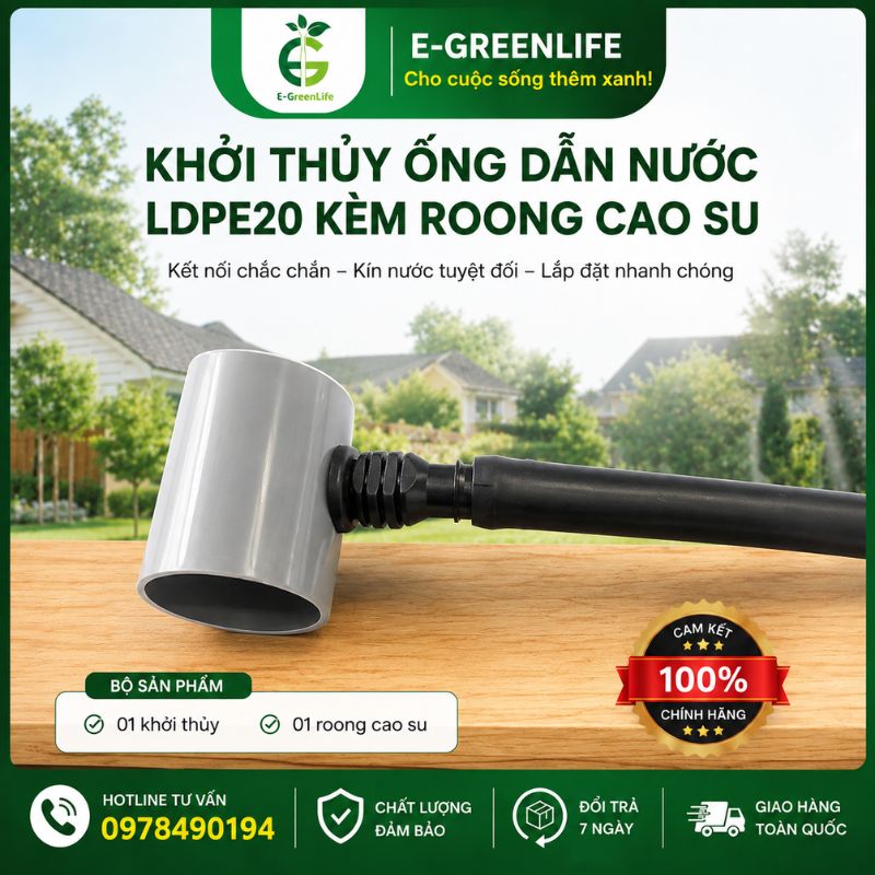 dia-chi-mua-khoi-thuy-ong-dan-nuoc-ldpe20-kem-roong-cao-su Địa chỉ mua Khởi thủy ống dẫn nước LDPE20 kèm roong cao su