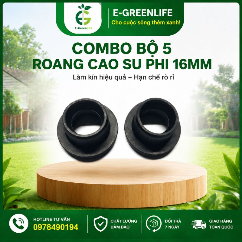 mua-combo-5-roang-cao-su-phi-16mm-o-dau-uy-tin Mua Combo bộ 5 roang cao su phi 16mm ở đâu uy tín