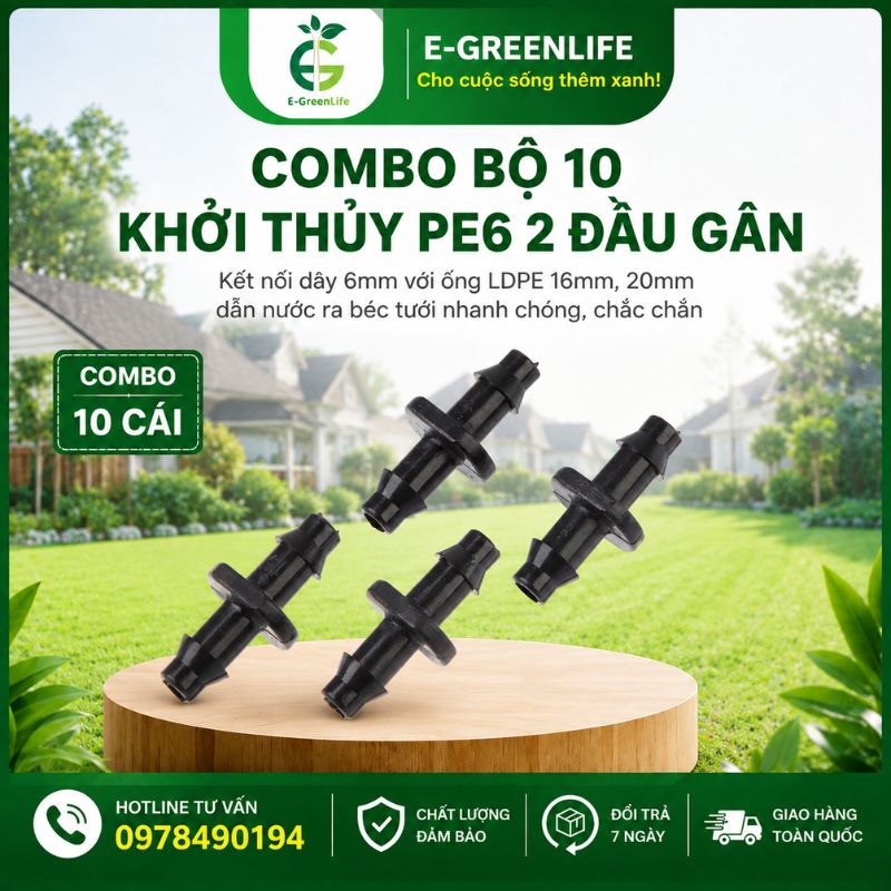 mua-combo-bo-10-khoi-thuy-pe6-2-dau-gan-chat-luong Mua Combo bộ 10 khởi thủy PE6 2 đầu gân chất lượng