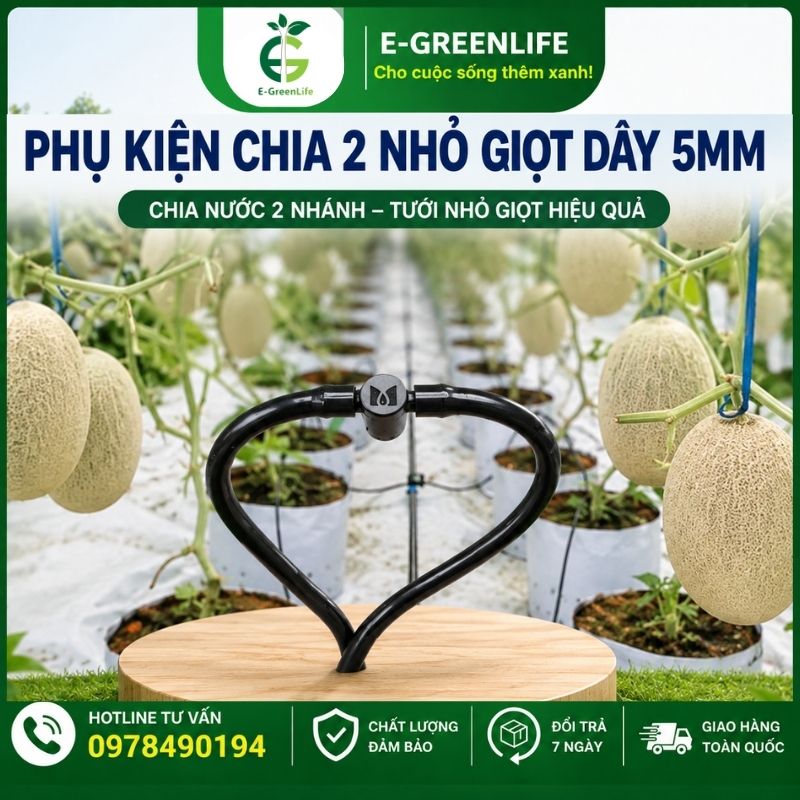 mua-phu-kien-chia-2-nho-giot-day-5mm Mua Phụ kiện chia 2 nhỏ giọt dây 5mm