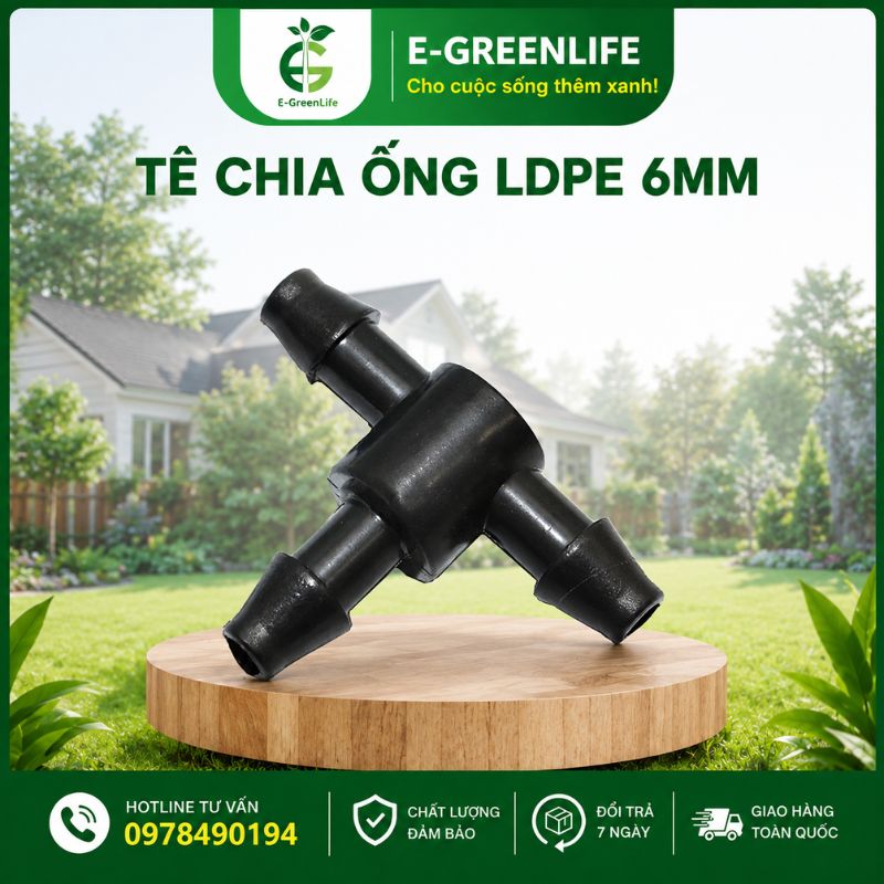mua-te-chia-ong-ldpe-6mm-o-dau-uy-tin Mua Tê chia ống LDPE 6mm ở đâu uy tín