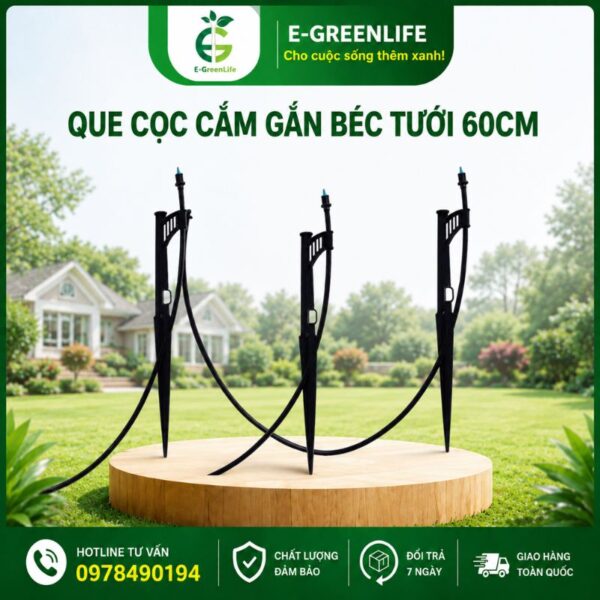 Que cọc cắm gắn béc tưới 60cm mua ở đâu chất lượng