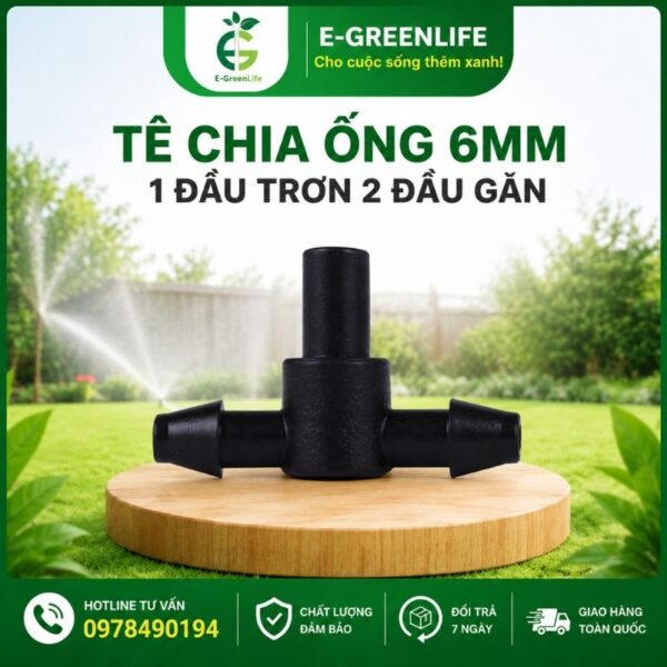 Mua tê Tê chia ống 6mm 1 đầu trơn 2 đầu gân ở đâu